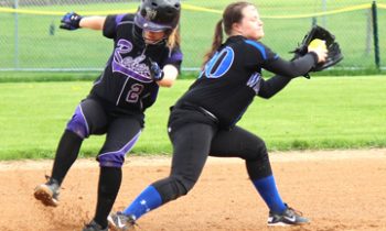 Ducthmen Knock Out HL-O