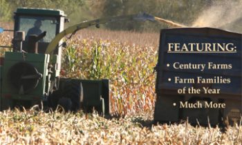 Harvest in the Heartland